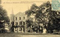 Chatillon-sur-Chalaronne, Chateau de Bissieux (5)